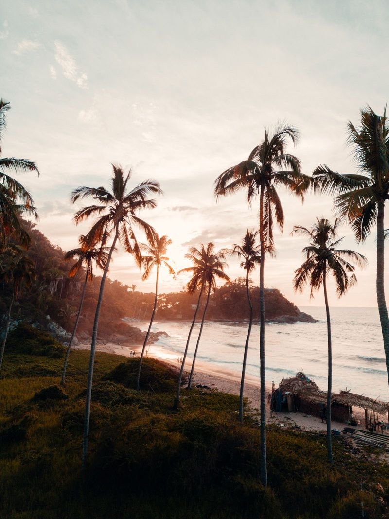 Palm-lined beach at sunset near Udupi and Malpe